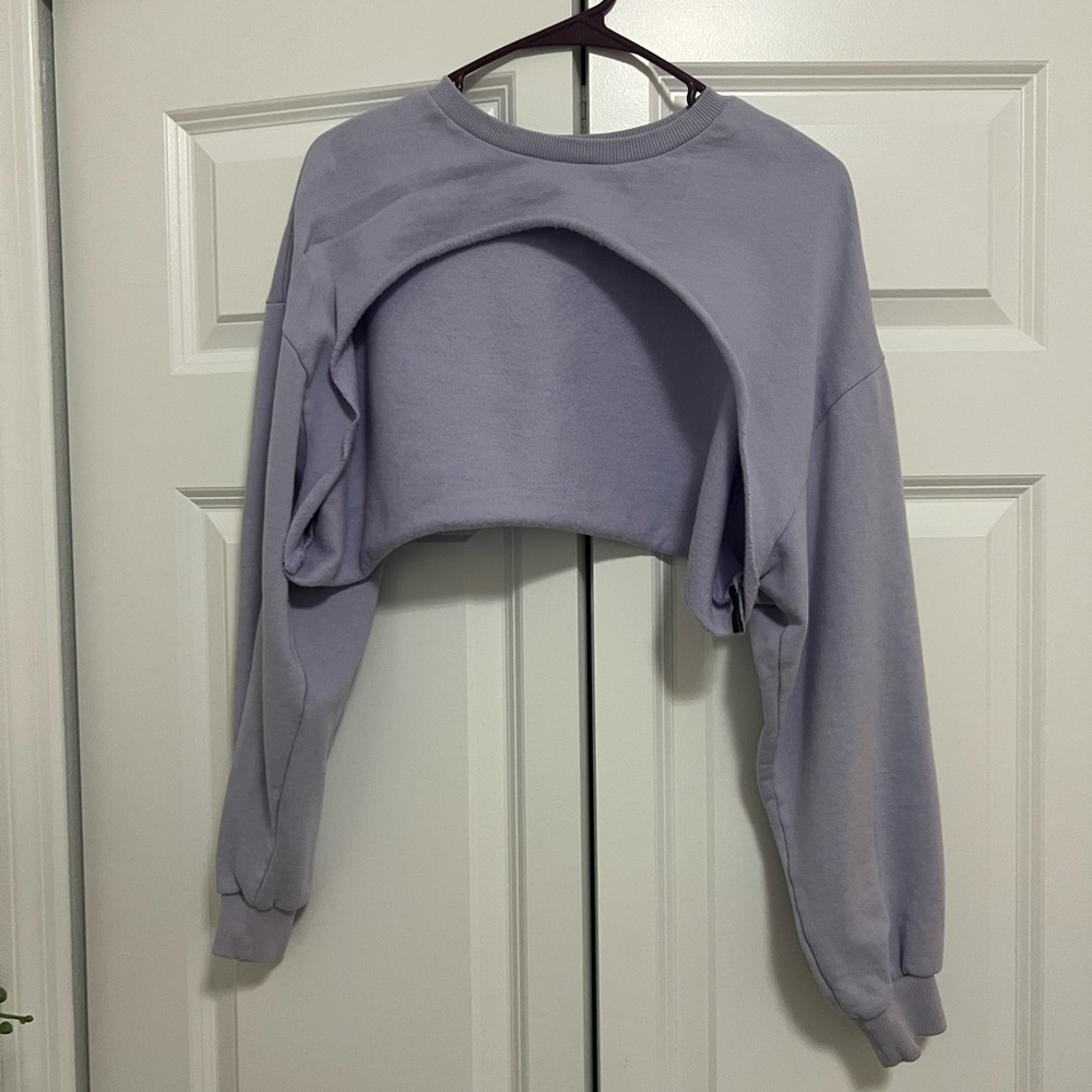 Divided Light Purple Crop Top